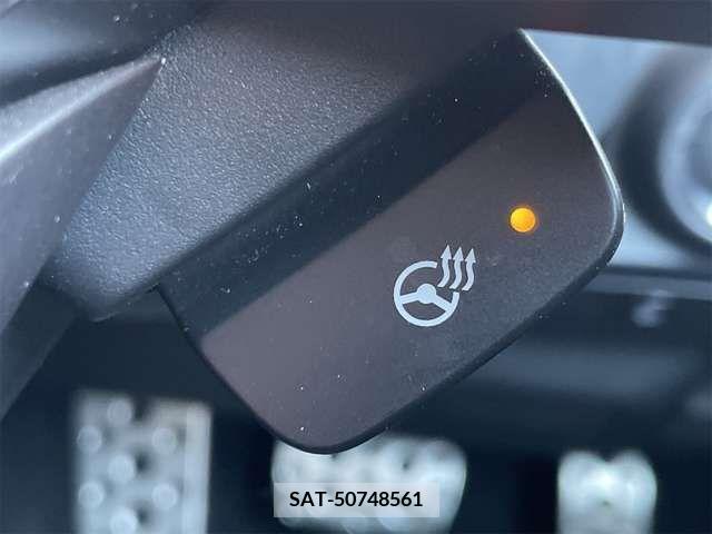 Subaru FORESTER 2018-10 316002-12