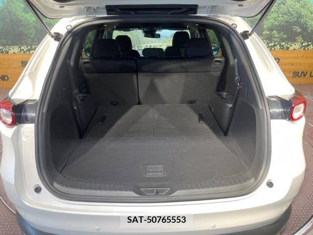 Mazda CX-8 2019-03 332035-10