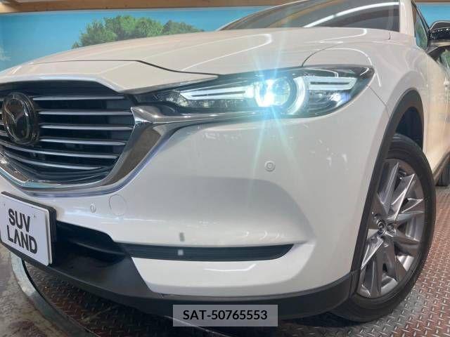 Mazda CX-8 2019-03 332035-12