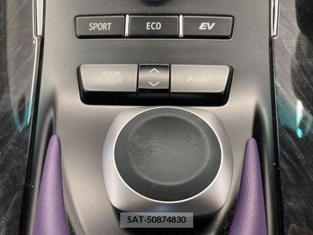 Toyota SAI 2017-01 216990-16