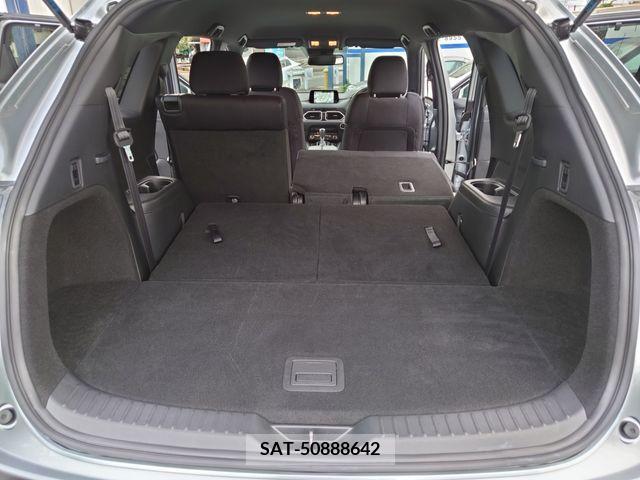 Mazda CX-8 2019-01 252971-10