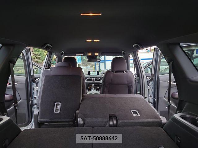 Mazda CX-8 2019-01 252971-11