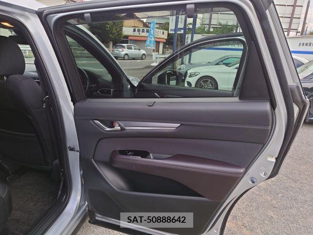 Mazda CX-8 2019-01 252971-13