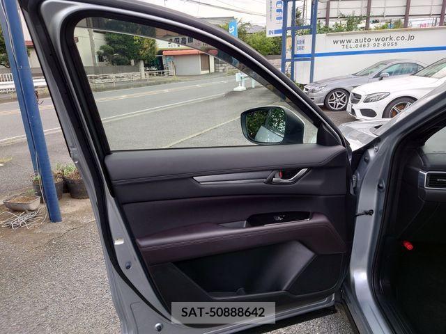 Mazda CX-8 2019-01 252971-14