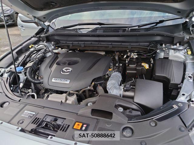 Mazda CX-8 2019-01 252971-8