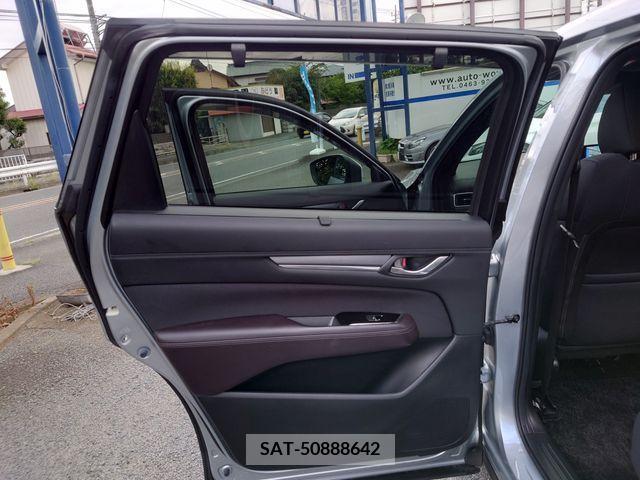 Mazda CX-8 2019-01 252971-15