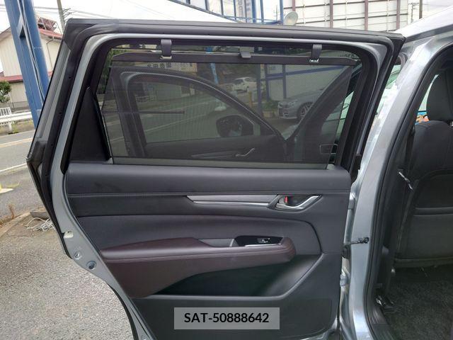 Mazda CX-8 2019-01 252971-16