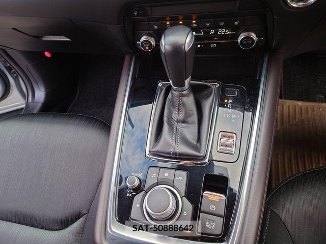 Mazda CX-8 2019-01 252971-20