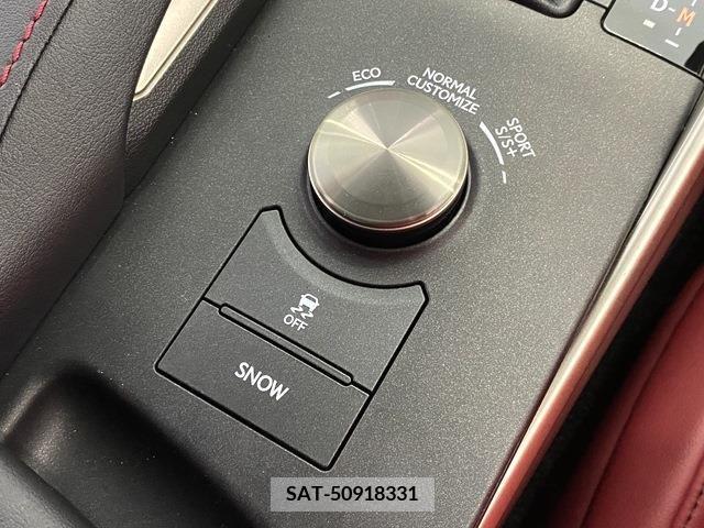 Lexus IS 2017-06 304446-14