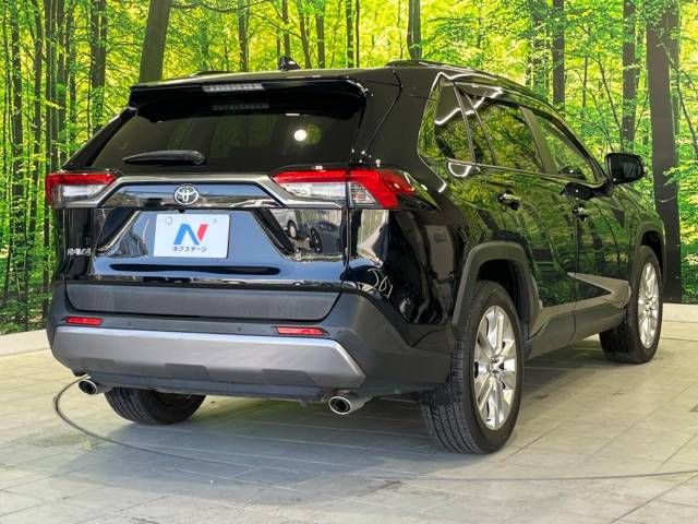 Toyota RAV4 2019-06 15432-17