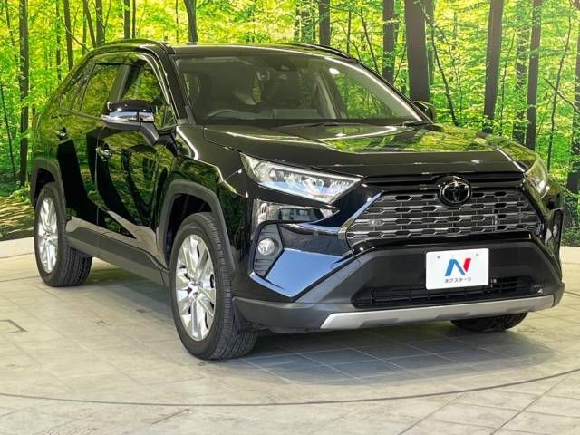 Toyota RAV4 2019-06 15432-16