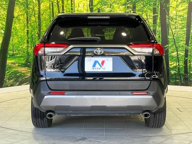 Toyota RAV4 2019-06 15432-15