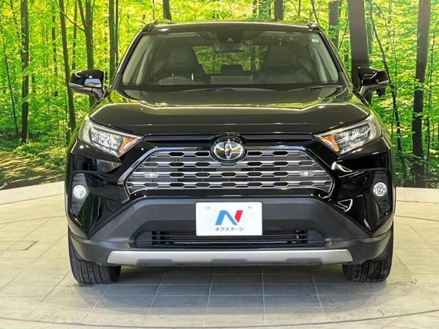 Toyota RAV4 2019-06 15432-14
