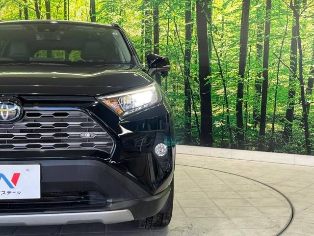 Toyota RAV4 2019-06 15432-12