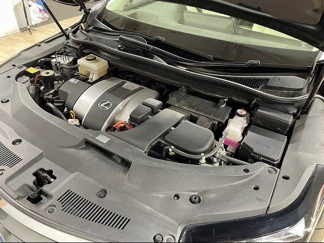 Lexus RX 2016-09 6652-19