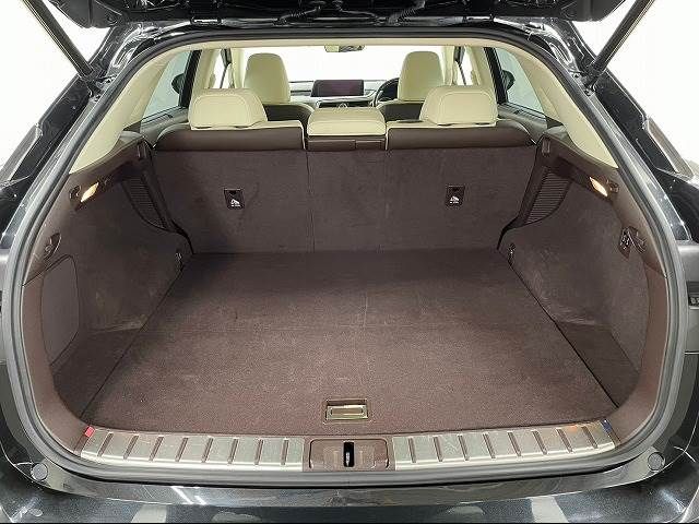 Lexus RX 2016-09 6652-10