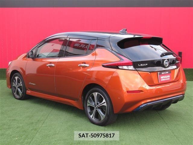 Nissan LEAF 2020-02 204497-1
