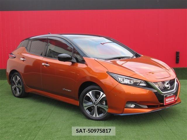 Nissan LEAF 2020-02 204497-0