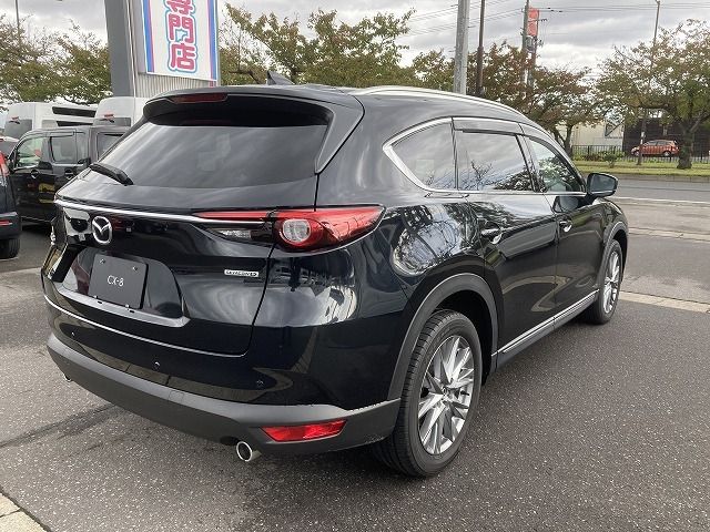 Mazda CX-8 2020-11 9149-4