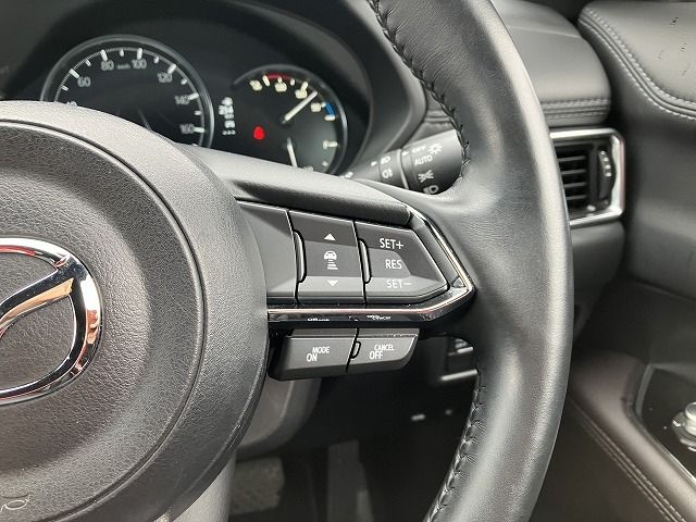 Mazda CX-8 2020-11 9149-10