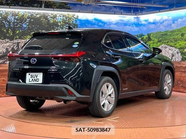 Lexus UX 2019-02 275900-17