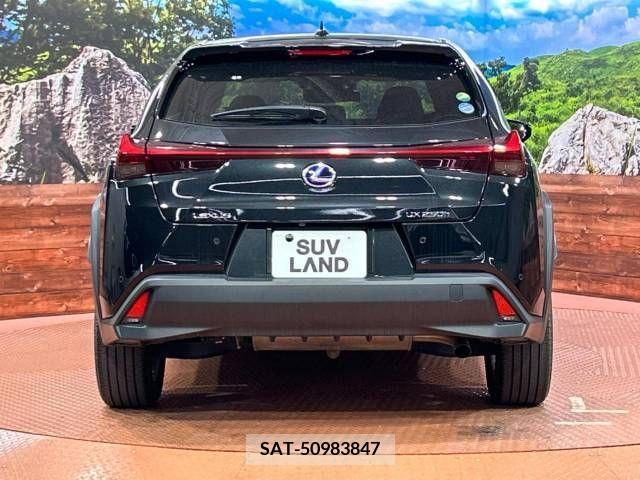 Lexus UX 2019-02 275900-15