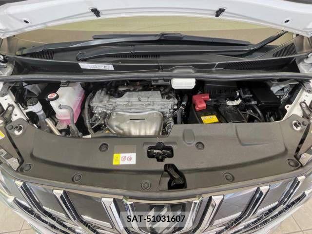 Toyota ALPHARD 2021-05 299508-19