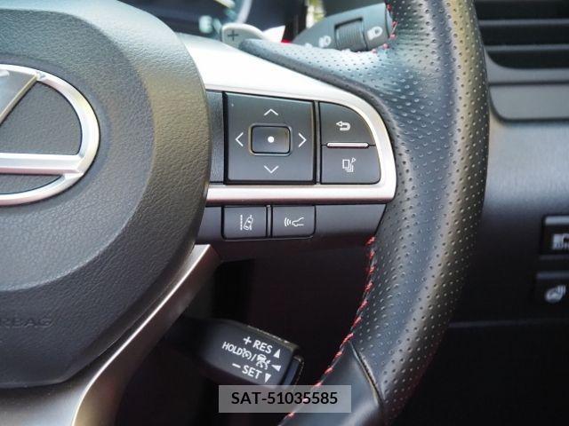 Lexus RX 2021-06 275858-20