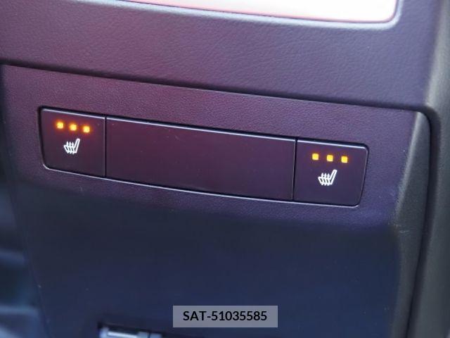 Lexus RX 2021-06 275858-16