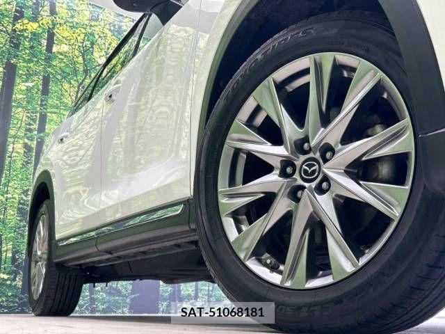 Mazda CX-8 2018-06 331586-13