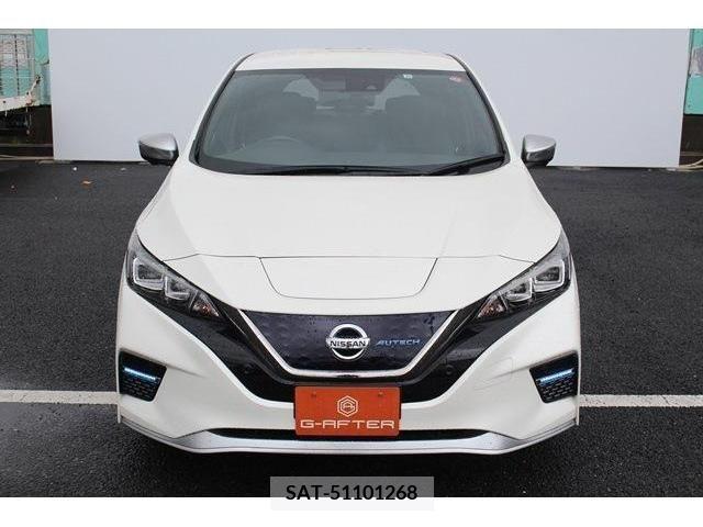 Nissan LEAF 2019-11 379524-1