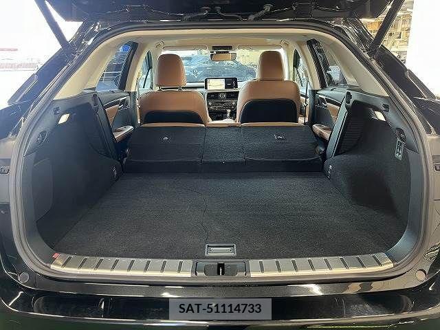Lexus RX 2020-04 354087-10