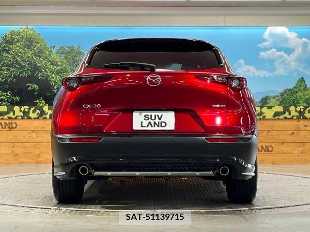 Mazda CX-30 2022-01 325456-15