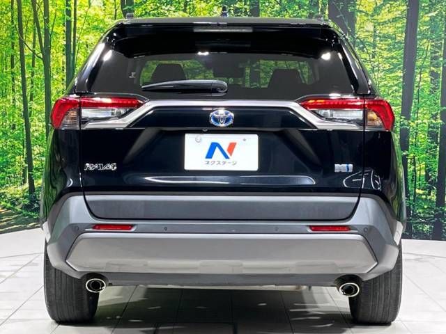 Toyota RAV4 2019-04 8631-14