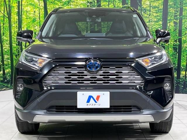 Toyota RAV4 2019-04 8631-13