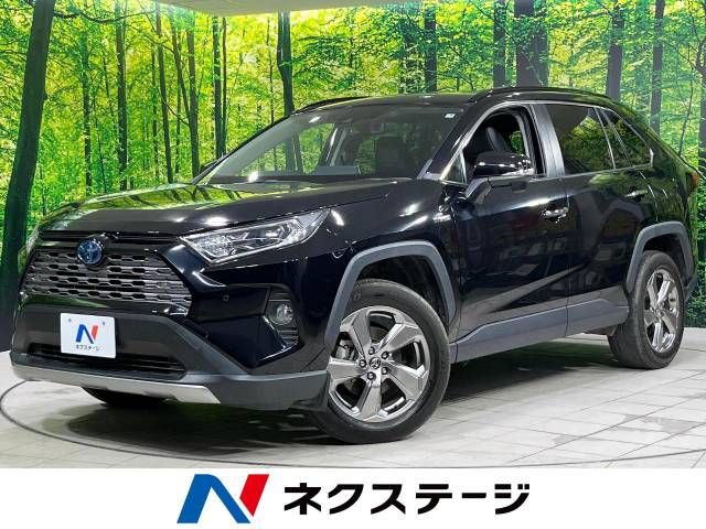 Toyota RAV4 2019-04 8631-0