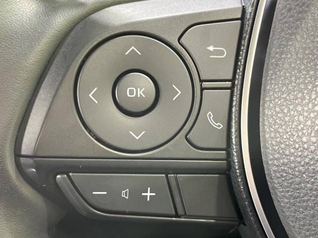 Toyota RAV4 2019-04 8631-19