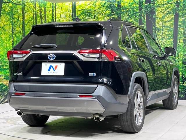 Toyota RAV4 2019-04 8631-16
