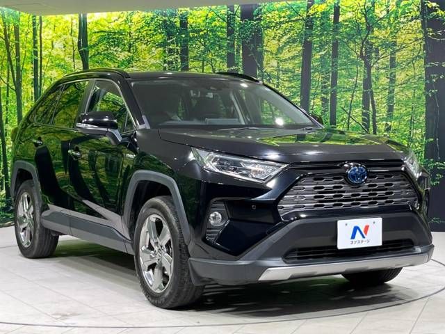 Toyota RAV4 2019-04 8631-15