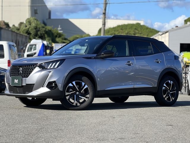 Peugeot 2008 2022-11 24167-0