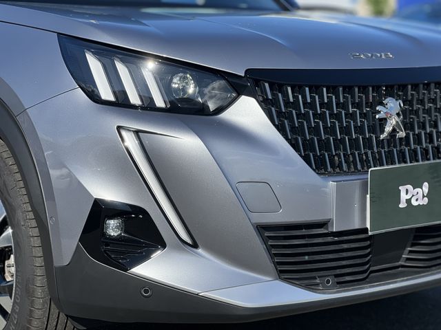 Peugeot 2008 2022-11 24167-22