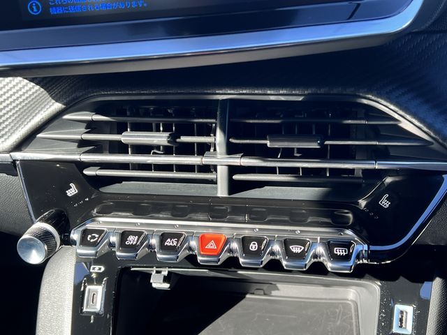 Peugeot 2008 2022-11 24167-10