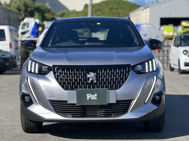 Peugeot 2008 2022-11 24167-25