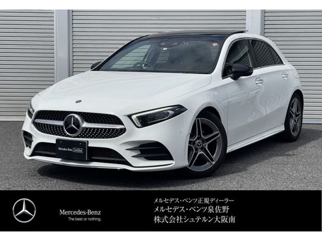 Mercedes Benz A-CLASS 2019-06 10344-0