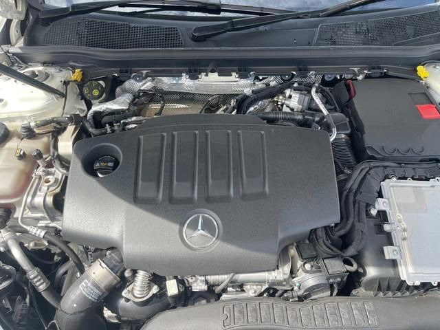 Mercedes Benz A-CLASS 2019-06 10344-20