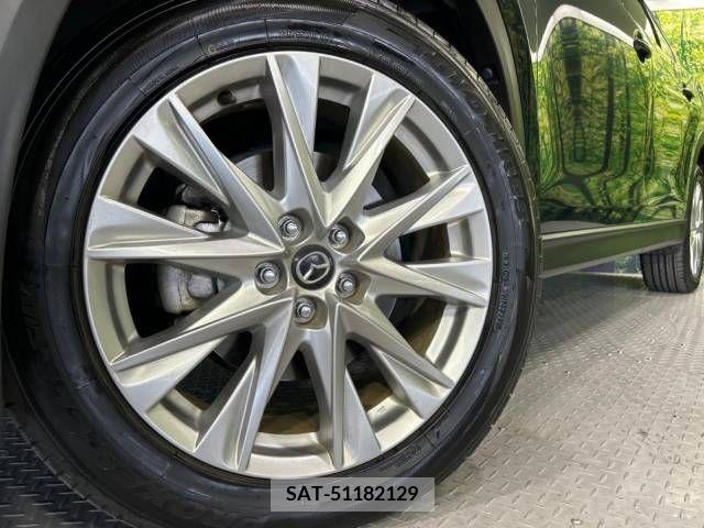 Mazda CX-8 2018-01 213923-14