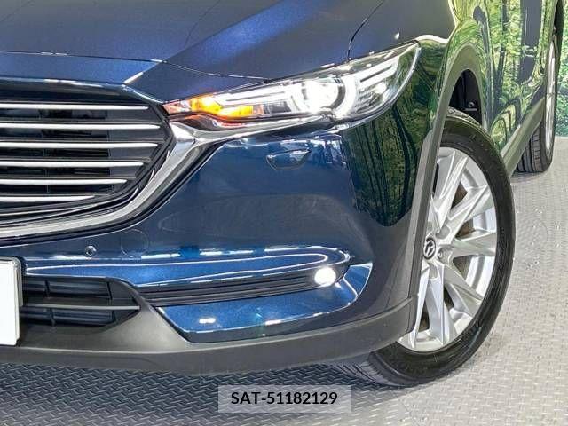 Mazda CX-8 2018-01 213923-13
