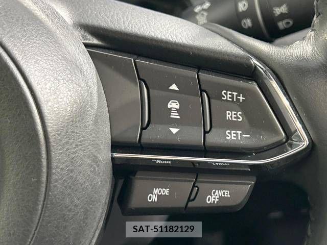 Mazda CX-8 2018-01 213923-6