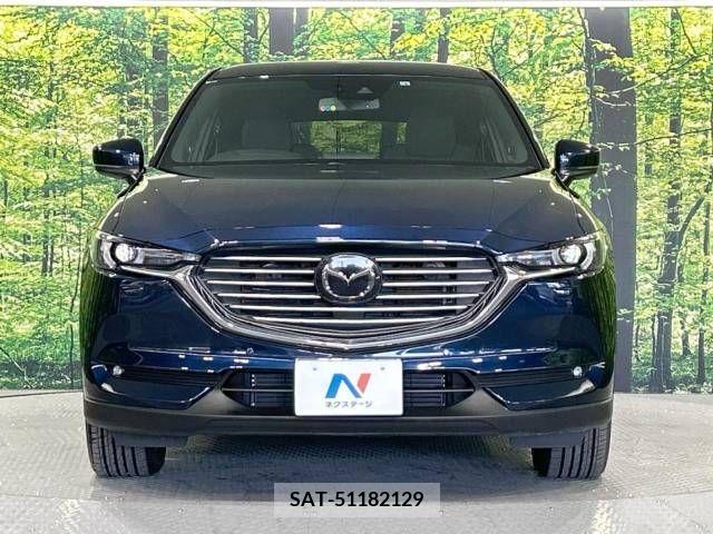 Mazda CX-8 2018-01 213923-15