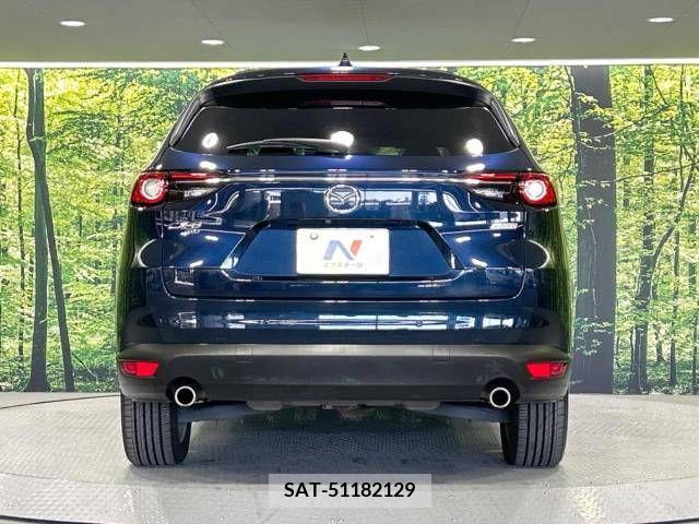Mazda CX-8 2018-01 213923-16